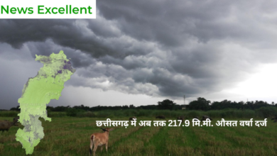 रायपुर : छत्तीसगढ़ में अब तक 217.9 मि.मी. औसत वर्षा दर्ज