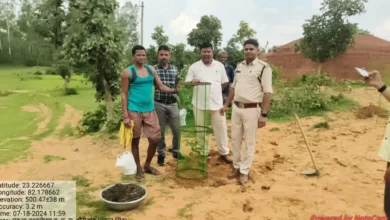 वन विभाग की बड़ी पहल: “महुआ बचाओ अभियान” के तहत डीएफओ द्वारा चलाया जा रहा वृक्षारोपण