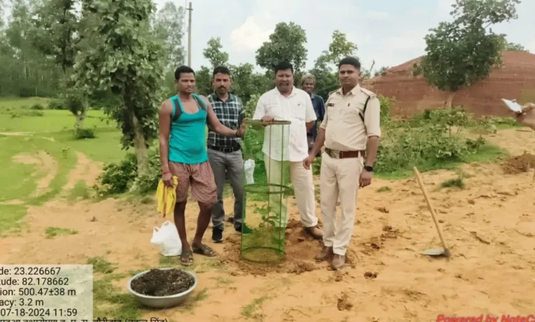 वन विभाग की बड़ी पहल: “महुआ बचाओ अभियान” के तहत डीएफओ द्वारा चलाया जा रहा वृक्षारोपण