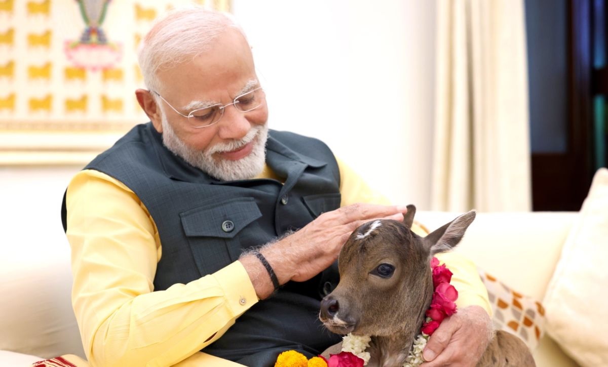 गौमाता