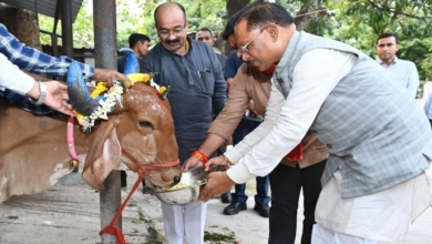 गोवर्धन पूजा: मुख्यमंत्री विष्णुदेव साय ने सीएम हाउस में गौवंश की पूजा