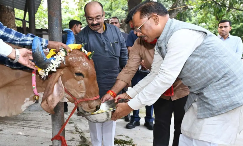 गोवर्धन पूजा: मुख्यमंत्री विष्णुदेव साय ने सीएम हाउस में गौवंश की पूजा