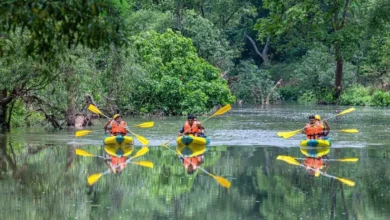 बस्तर के धुड़मारास गांव ने वैश्विक पर्यटन मानचित्र पर बनाई जगह, UNWTO द्वारा चयनित