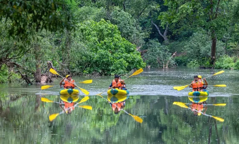 बस्तर के धुड़मारास गांव ने वैश्विक पर्यटन मानचित्र पर बनाई जगह, UNWTO द्वारा चयनित