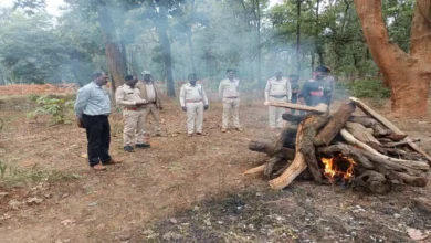 छत्तीसगढ़: नीलगाय का बच्चा जख्मी हालत में मिला, उपचार के दौरान हुई मौत