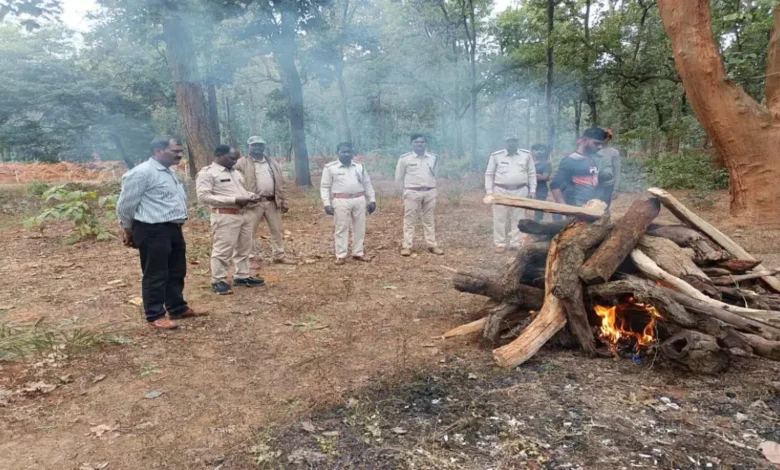 छत्तीसगढ़: नीलगाय का बच्चा जख्मी हालत में मिला, उपचार के दौरान हुई मौत