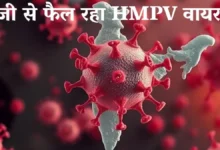 HMPV वायरस भारत में: महाराष्ट्र, कर्नाटक समेत 5 राज्यों में अलर्ट