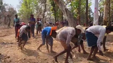 छत्तीसगढ़ का बिदरी त्योहार: कृषि की परंपरा और आस्था का प्रतीक