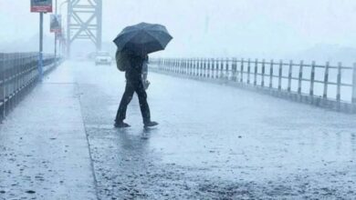 मानसून 2025 ने तोड़ा 16 साल पुराना रिकॉर्ड, केरल में समय से पहले दस्तक, छत्तीसगढ़ में जल्दी पहुंचने की उम्मीद –