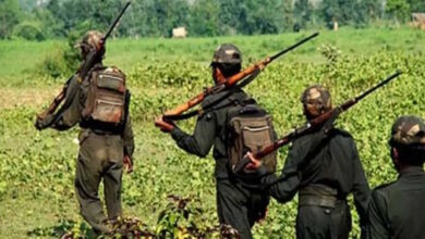 नक्सलियों को बस्तर IG सुंदरराज का बड़ा संदेश: मुख्यधारा में लौटें, सरकार दे रही है पुनर्वास का अवसर –