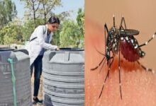 छत्तीसगढ़ स्वास्थ्य विभाग चलाएगा घर-घर अभियान: डेंगू पर लगेगी लगाम