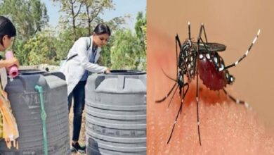 छत्तीसगढ़ स्वास्थ्य विभाग चलाएगा घर-घर अभियान: डेंगू पर लगेगी लगाम
