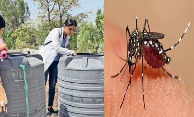 छत्तीसगढ़ स्वास्थ्य विभाग चलाएगा घर-घर अभियान: डेंगू पर लगेगी लगाम छत्तीसगढ़ स्वास्थ्य विभाग चलाएगा घर-घर अभियान: डेंगू पर लगेगी लगाम