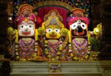 बाहुड़ा रथ यात्रा: नौ दिन का विश्राम हुआ खत्म, मौसी के घर से लौटेंगे भगवान जगन्नाथ, श्रद्धालुओं में भारी उत्साह