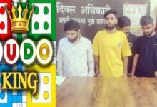 लूडो किंग के जरिए सट्टेबाजी: मध्य प्रदेश के 4 बुकी छत्तीसगढ़ में गिरफ्तार