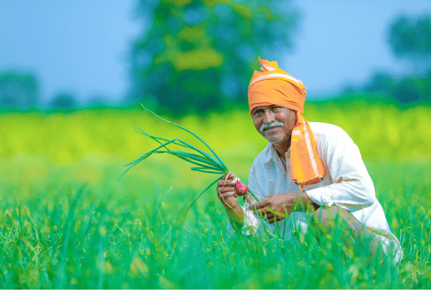 छत्तीसगढ़ में खरीफ फसलों के बीमा की अंतिम तिथि घोषित, किसानों के लिए महत्वपूर्ण सूचना छत्तीसगढ़ में खरीफ फसलों के बीमा की अंतिम तिथि घोषित, किसानों के लिए महत्वपूर्ण सूचना
