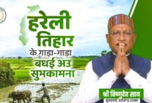 मुख्यमंत्री साय ने हरेली पर्व पर प्रदेशवासियों को दी शुभकामनाएं, वृक्षारोपण का भी किया आग्रह
