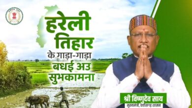 मुख्यमंत्री साय ने हरेली पर्व पर प्रदेशवासियों को दी शुभकामनाएं, वृक्षारोपण का भी किया आग्रह