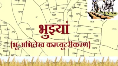दुर्ग में ‘भुइयां ऐप’ के जरिए 500 करोड़ का जमीन घोटाला, दो पटवारी निलंबित, 18 का हुआ तबादला
