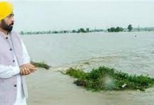 पंजाब को ‘आपदा प्रभावित क्षेत्र’ घोषित किया गया, मान सरकार हर संभव मदद करेगी –