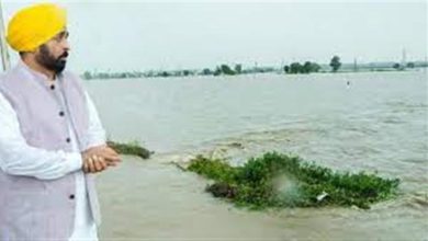 पंजाब को ‘आपदा प्रभावित क्षेत्र’ घोषित किया गया, मान सरकार हर संभव मदद करेगी –