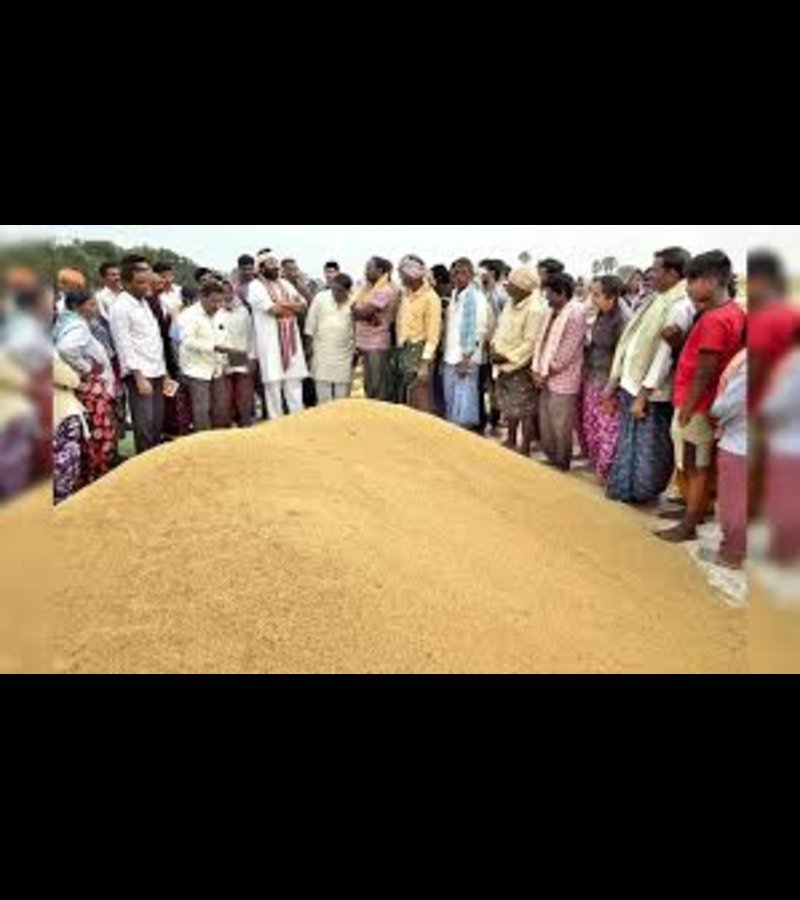 खैरागढ़ महोत्सव 2025 का आज भव्य समापन; धान खरीदी के बीच लाखों के चावल घोटाले का आरोप, समिति प्रबंधकों में फूट